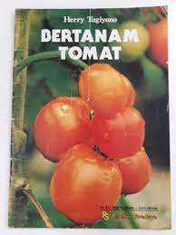 Bertanam Tomat