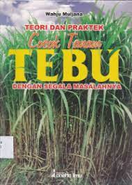 Teori dan Praktik cocok tanam tebu dengan segala masalahnya