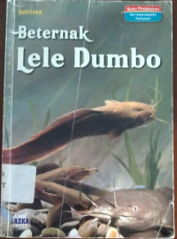 Image of Beternak lele dumbo